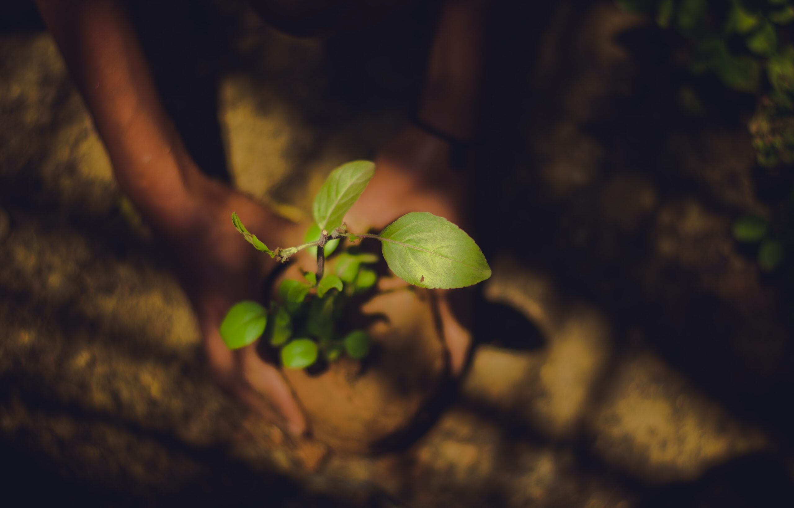 Sustainability at Vulcan