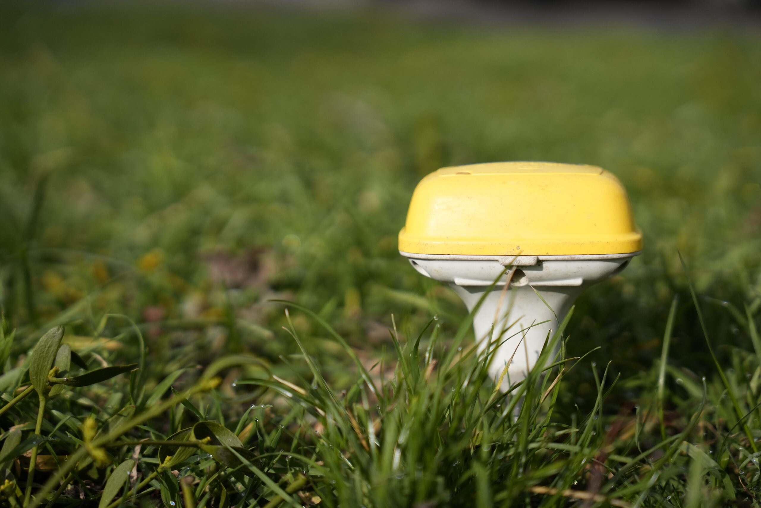geophone, grass