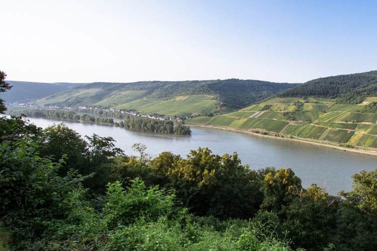 landscape picture: river