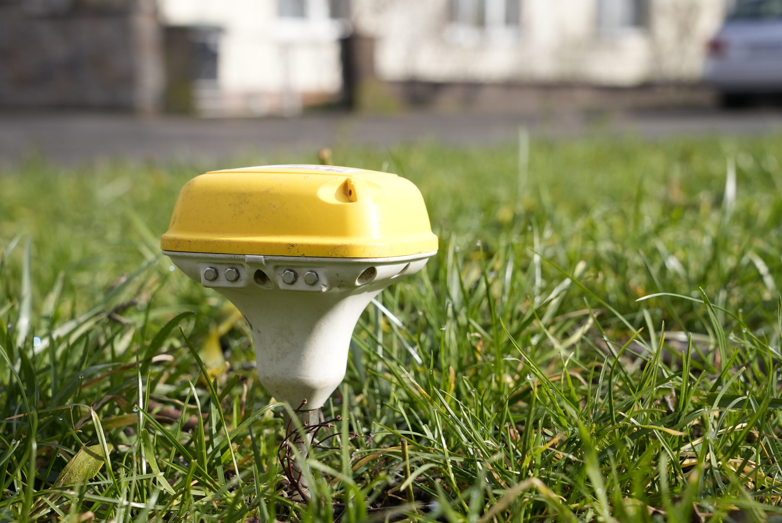geophone, grass