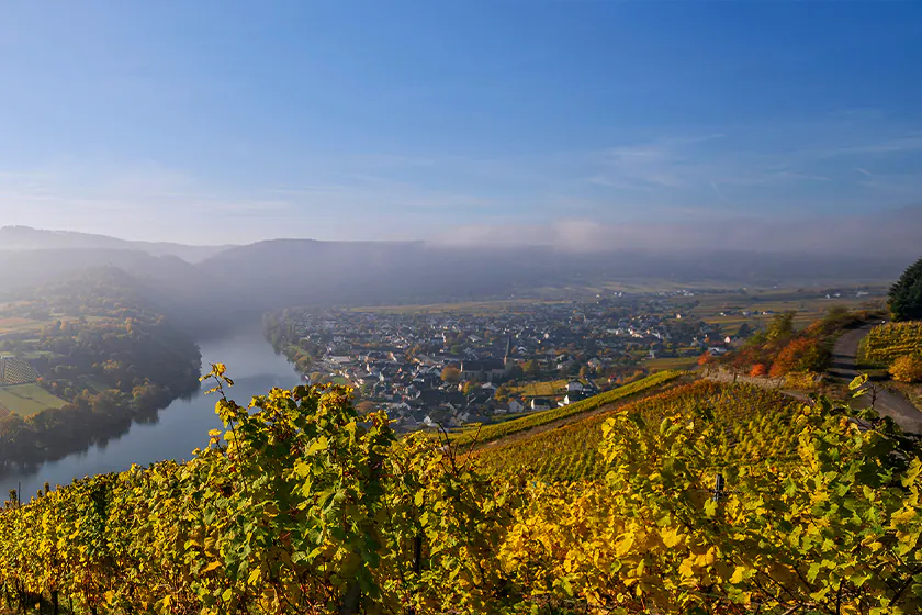 Agricultural and industrial landscape in Germany’s Upper Rhine Valley